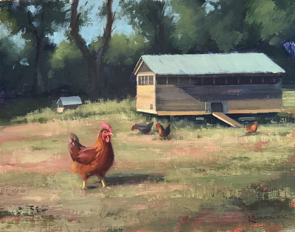 Chicken Coop