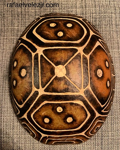 Turtle/Quadruplets Higuera (Gourd)