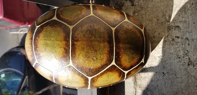 Gourd #11 (First Turtle Shell Gourd)