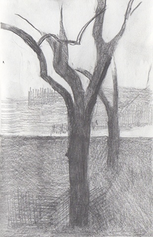 2-26