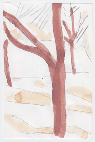 Unknown, brown trees, snow