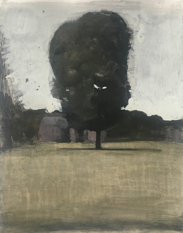 Tree, Parade Ground
