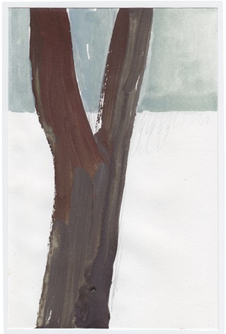 Unknown, tree in snow