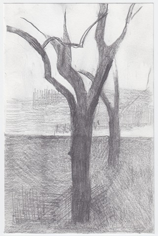 2-26