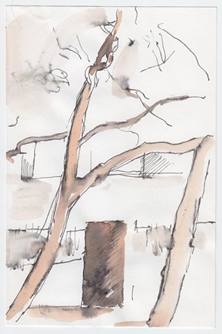 Unknown, tree with box