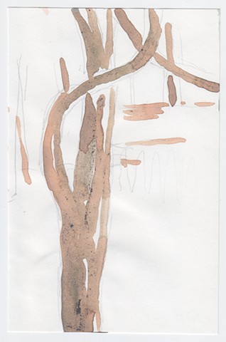 10B-X, (s-shaped branch)