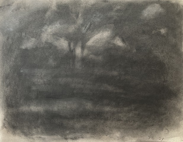 Beach, Sheldrake