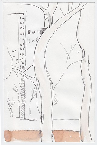 Unknown, curved tree with buildings
