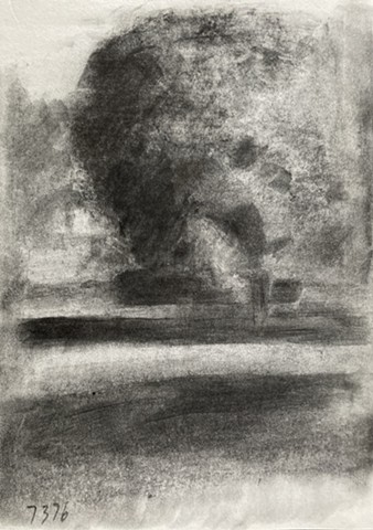 Sheldrake