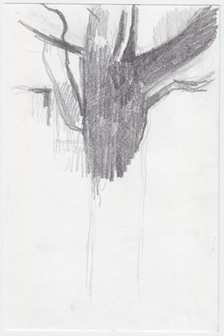 8-14, upper