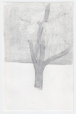 8-29, minivan, (man)