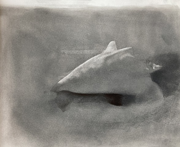 Drawings, 2020– Present