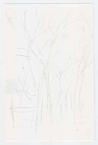 Unknown, light grouping