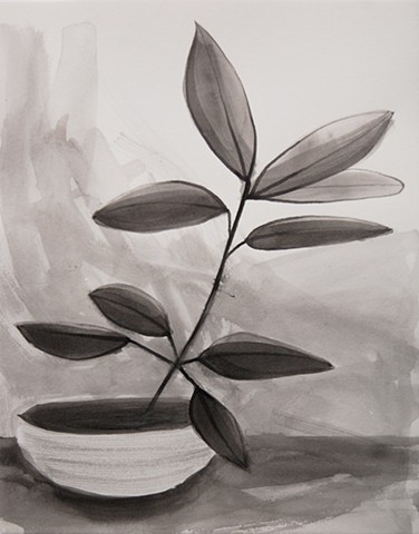 plant drawing