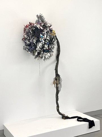 Limited Time Special Offer