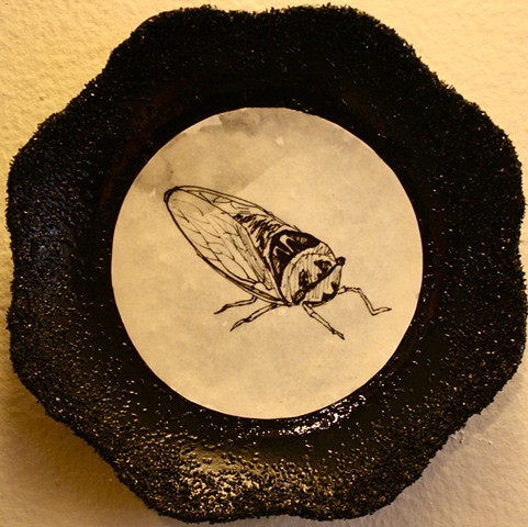 Cicada On Porcelain