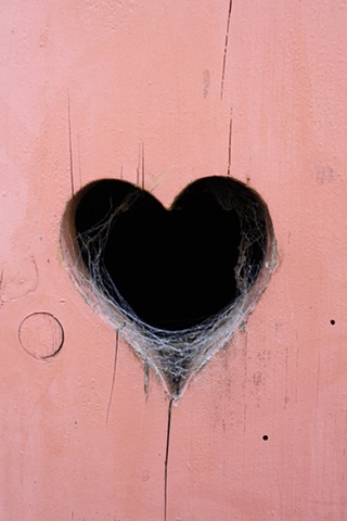 cobwebs in your heart