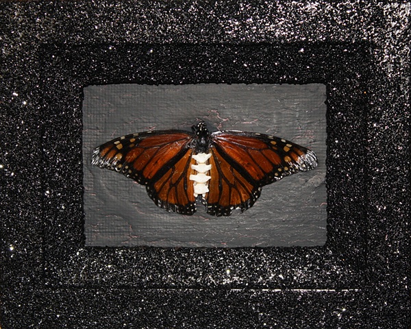 monarch butterfly with spinal column for body, found frame, recycled object, on black background with black glitter frame
