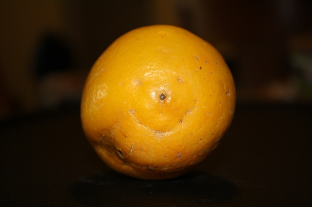 never saw a happier lemon