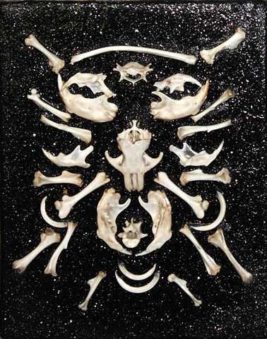 found rodent bones on canvas with glitter black background