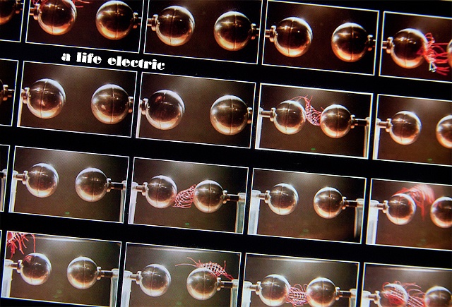 A Life Electric (March 2011)
