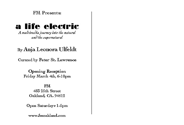A Life Electric (March 2011)