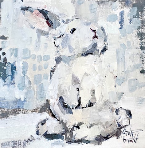 Hello Bunny 1