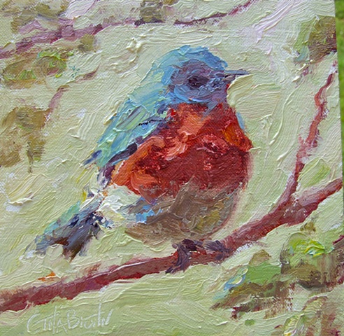 Bluebird 4