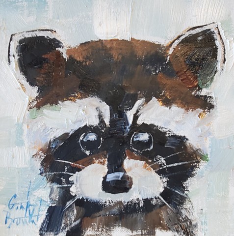 Raccoon