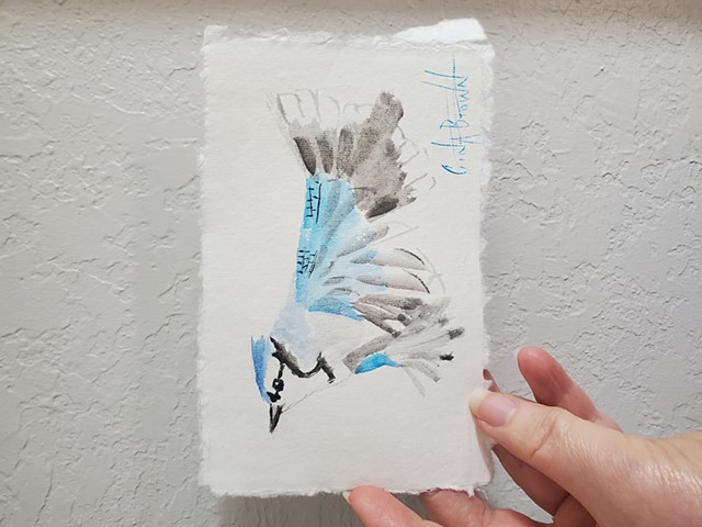 Bluejay watercolor