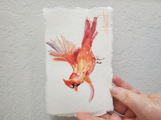 Cardinal watercolor 