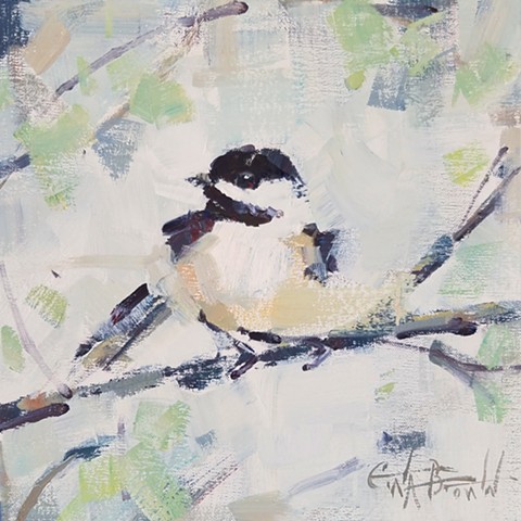 The Carolina Chickadee