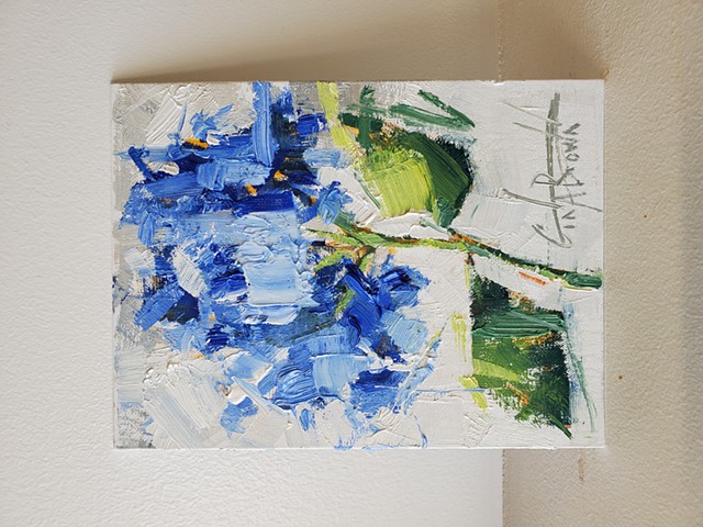 Blue Hydrangea