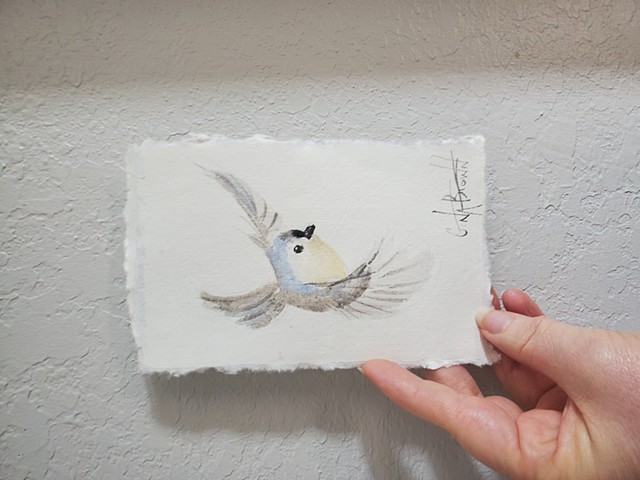 Tufted Titmouse watercolor