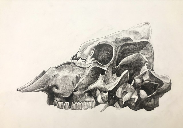 Untitled Ink Drawing