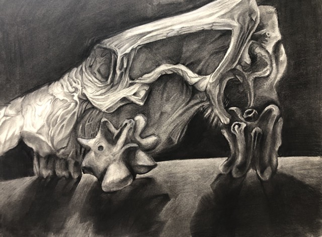 Untitled Stylized Charcoal 