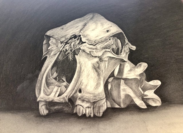 Untitled Vine Charcoal