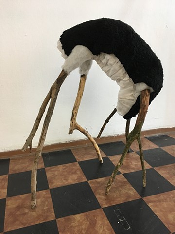Temporary Imaginary Untitled