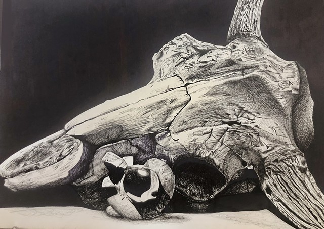 Untitled Ink Drawing