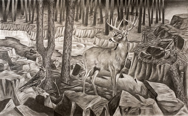 Bestiary: Large Scale Drawings