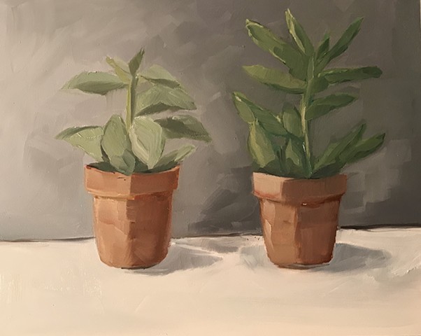 A Pair of Succulents
