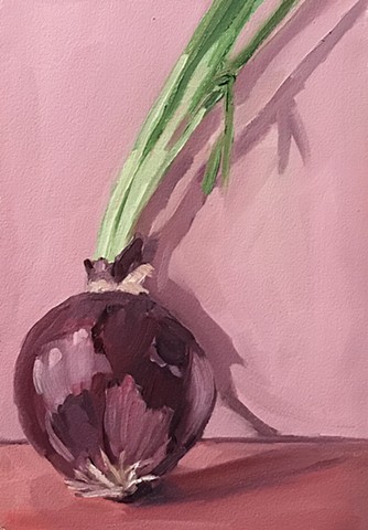 Sprouting Red Onion 