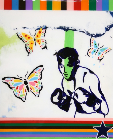 Boxing With Butterflies