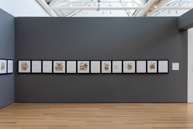 Report from the Surface