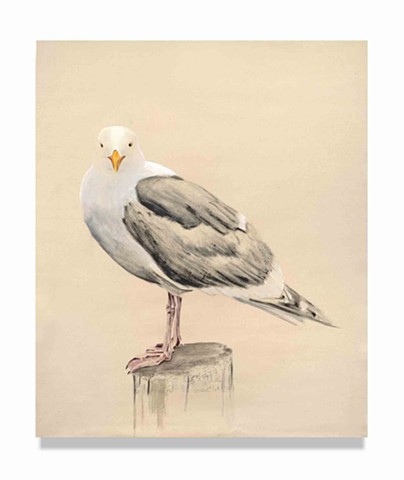 Beach houses, seagull, Malibu, beach painting, village, tiny house, villa, Malibu, Tahitian Terrace, Palisades Bowl, the palisades fires, palisades trailer park, mobile home park investor, WMA,