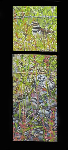 Red Salmon Creek Project 2009-14