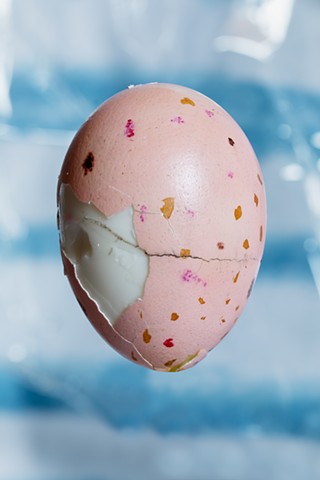 Egg #26
