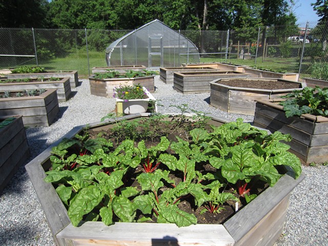 Community Gardens at THEARC.