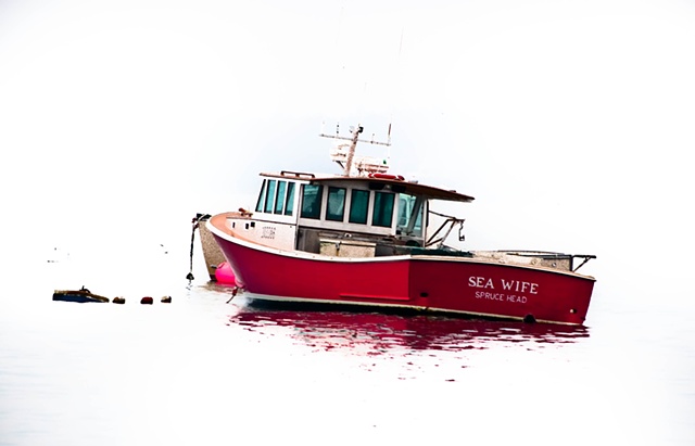 Sea Wife 2011