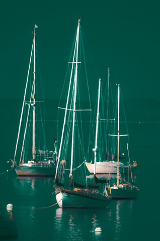 Mean Green Sailboats